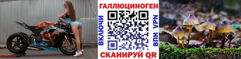 kraken ссылки  Агидель  Псилоцибиновые грибы Cubensis 